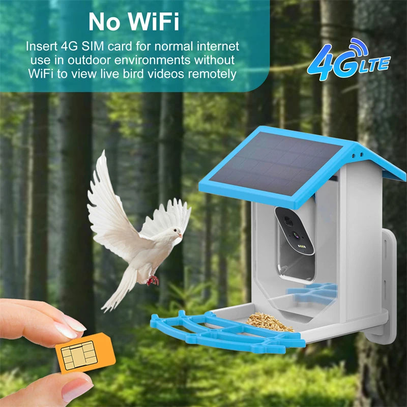 Solar Smart Feeder