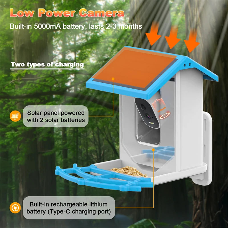 Solar Smart Feeder